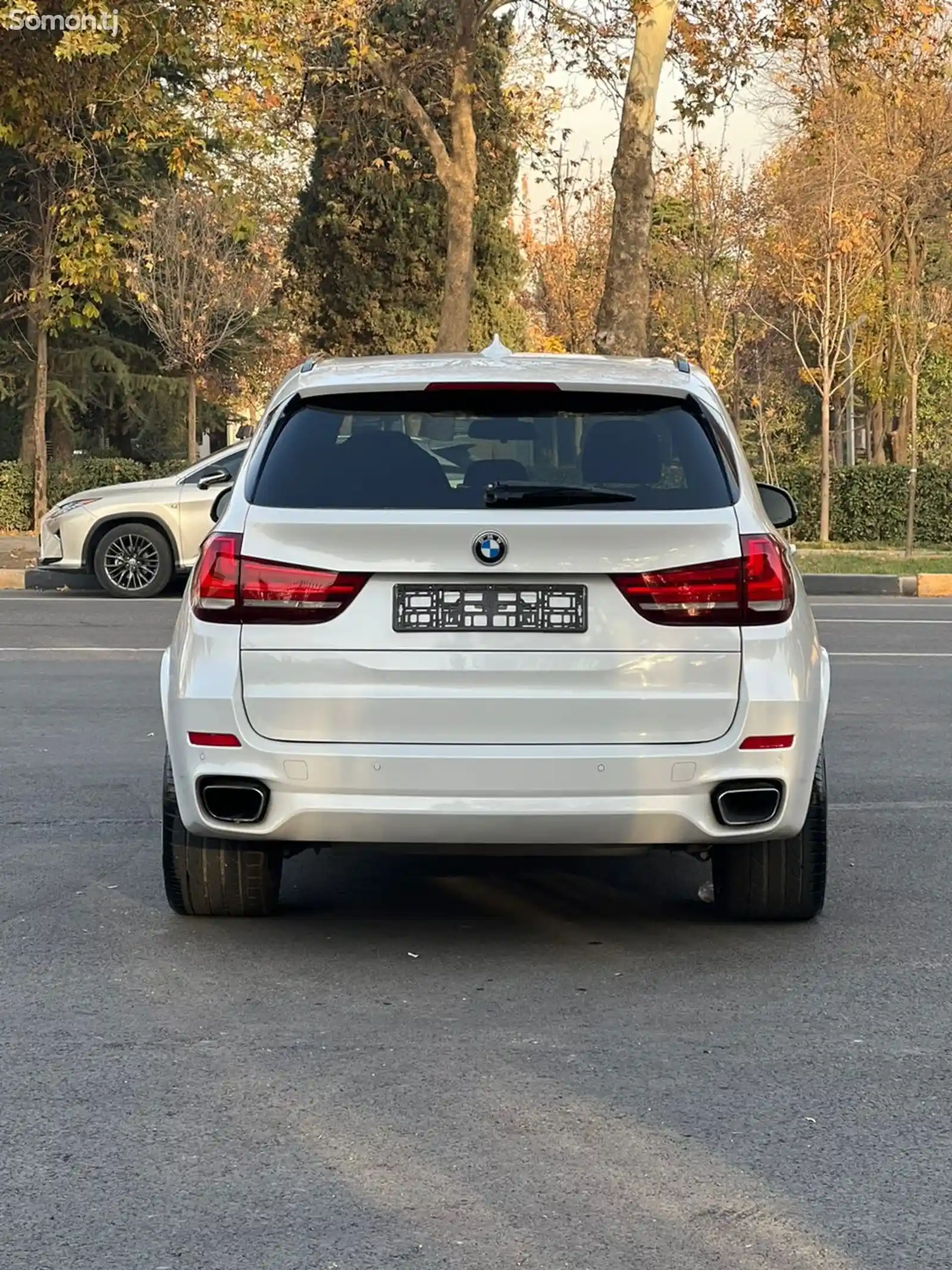 BMW X5, 2014-6