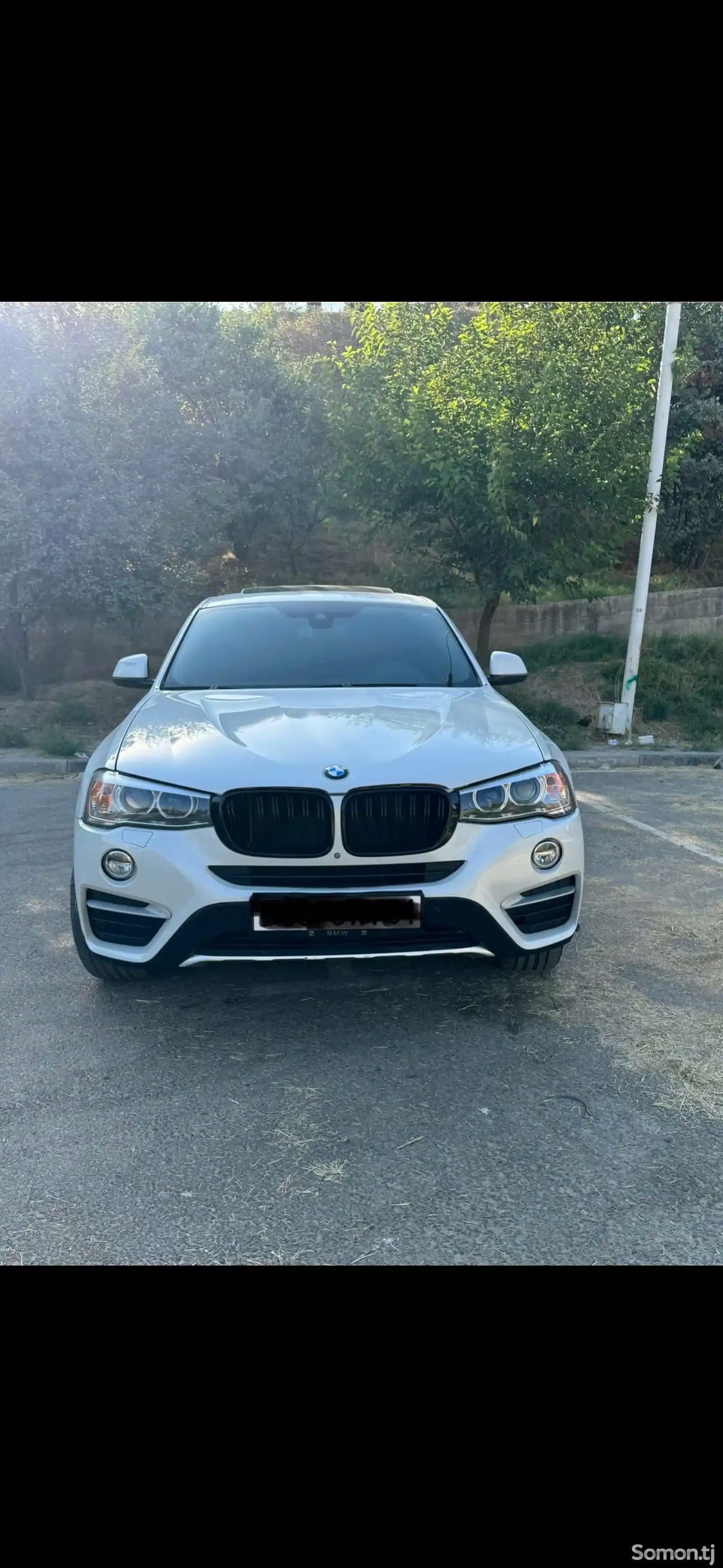 BMW X4, 2016-1