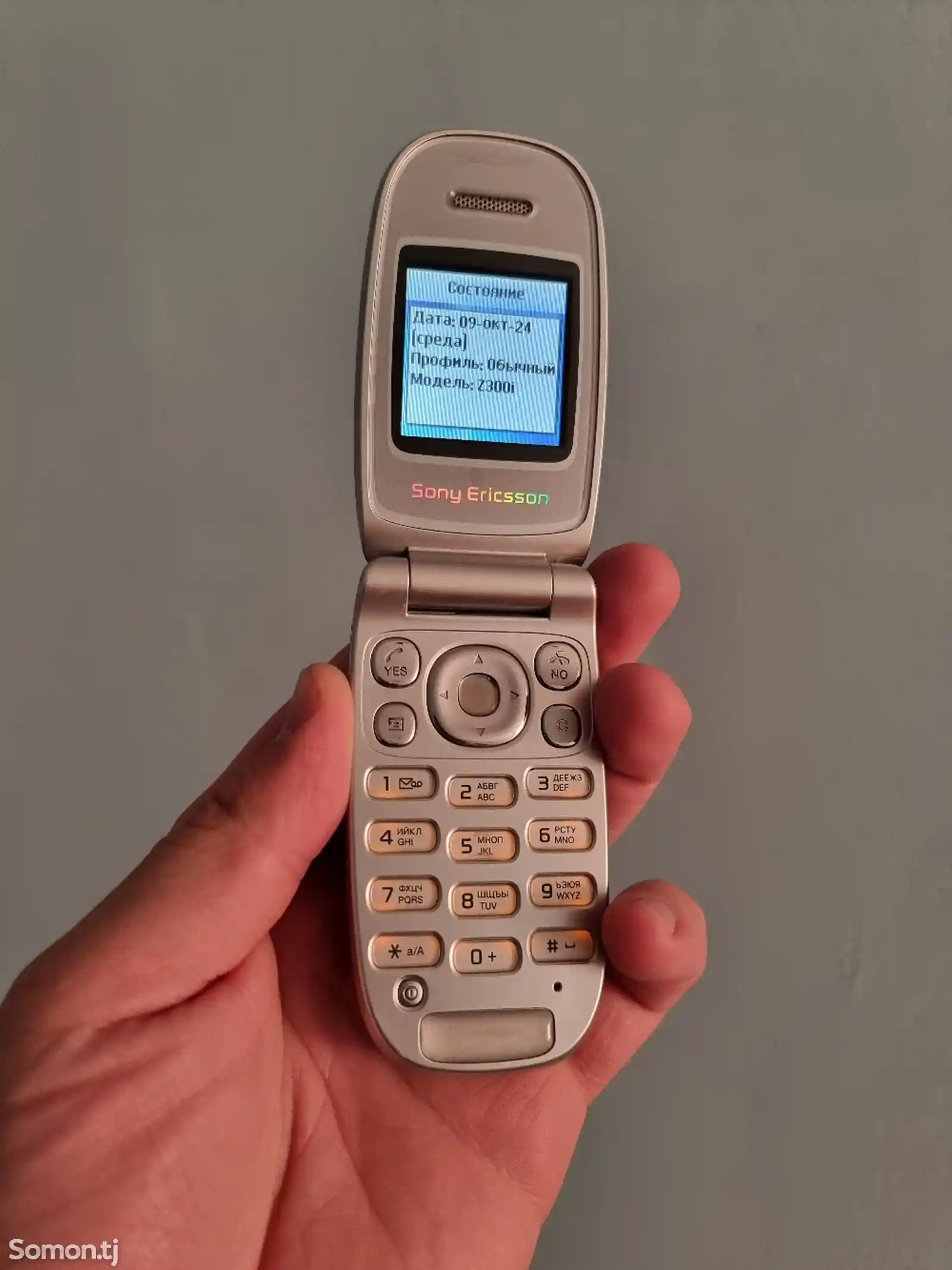 Sony Ericsson Z300i-2