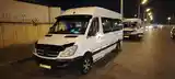 Mercedes-Benz Sprinter,2008-11