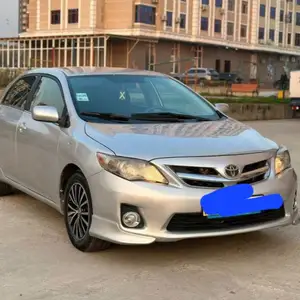 Toyota Corolla, 2010