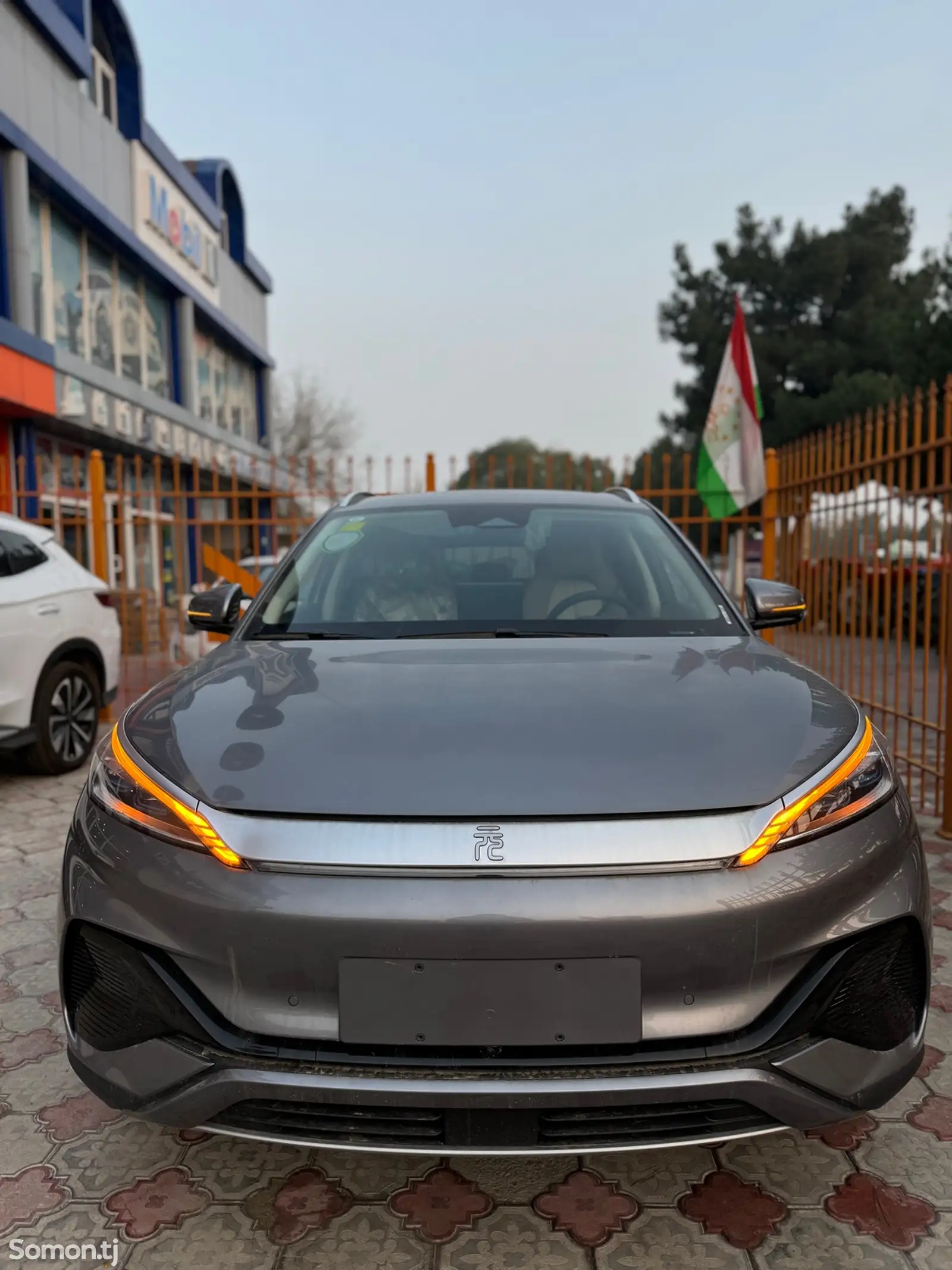 BYD Yuan Plus, 2024-1