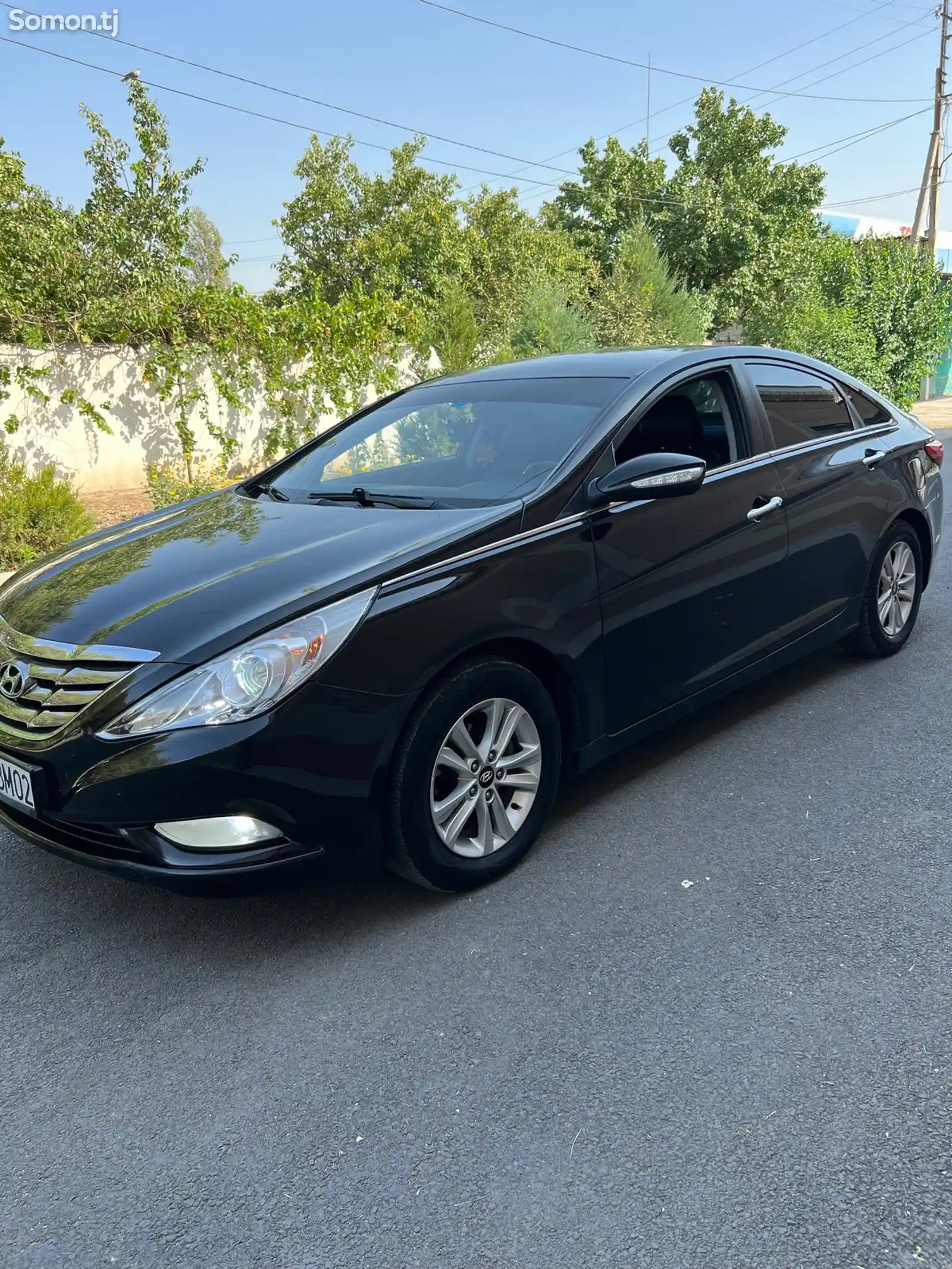 Hyundai Sonata, 2010-8