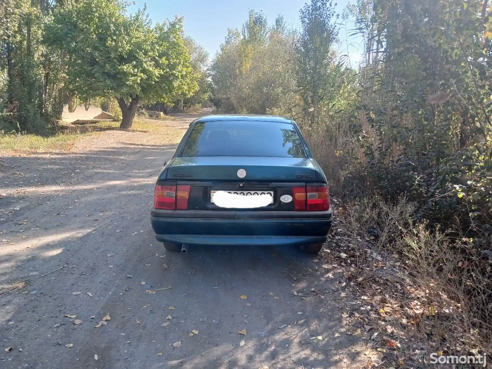 Opel Vectra A, 1994-3