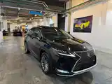 Lexus RX series, 2023-3