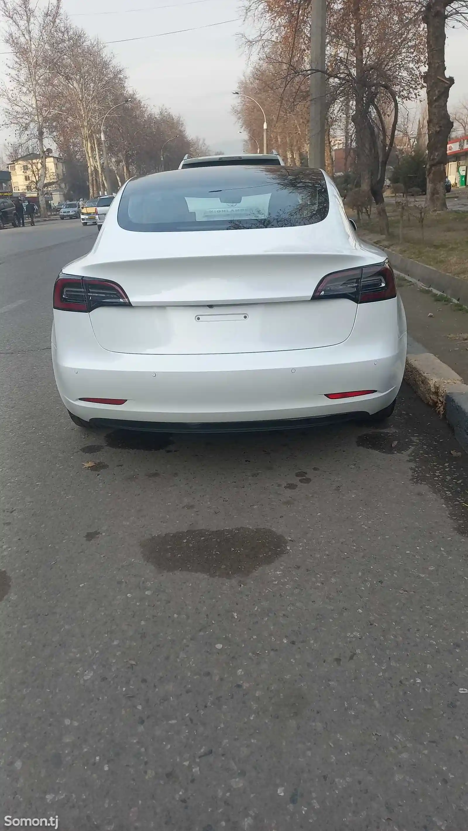 Tesla Model 3, 2020-4