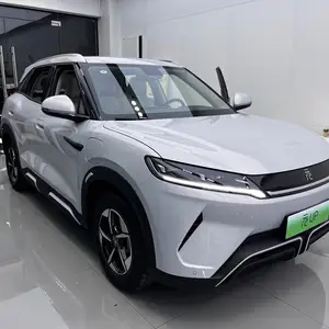 BYD Yuan Up, 2024