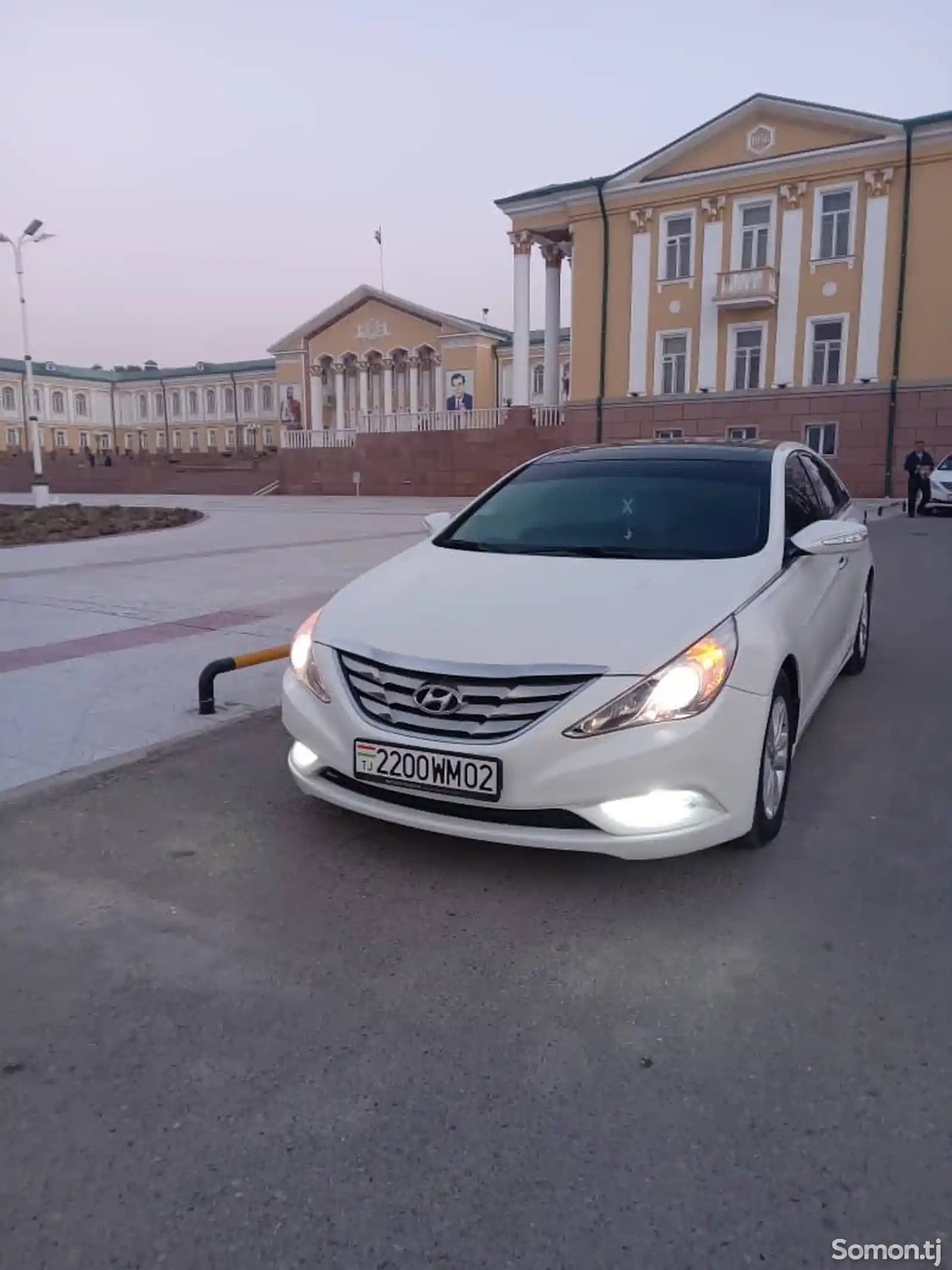 Hyundai Sonata, 2010-7