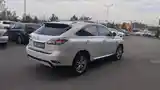 Lexus RX series, 2013-3