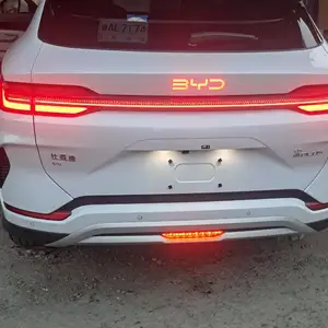 BYD Yuan Plus, 2024