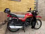 Мотоцикл GLX-Suzuki 200cc куба-7