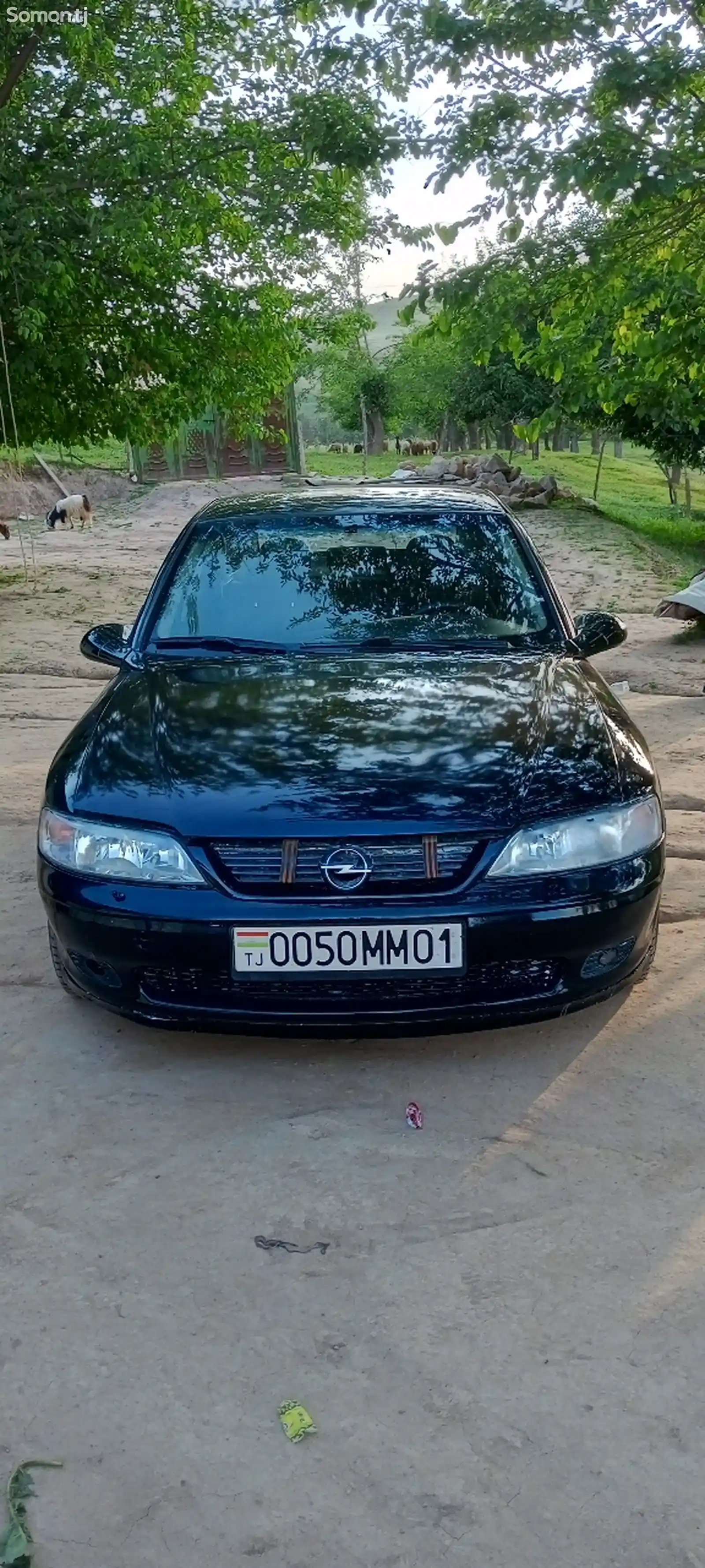 Opel Vectra B, 2000-9