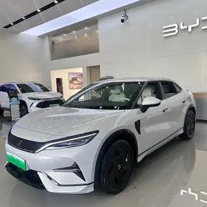 BYD другие модели, 2024