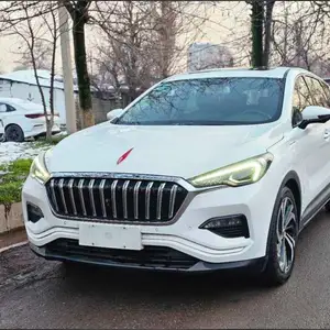 Hongqi E-HS3, 2019