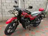 GSX-Suzuki 200 куба-3