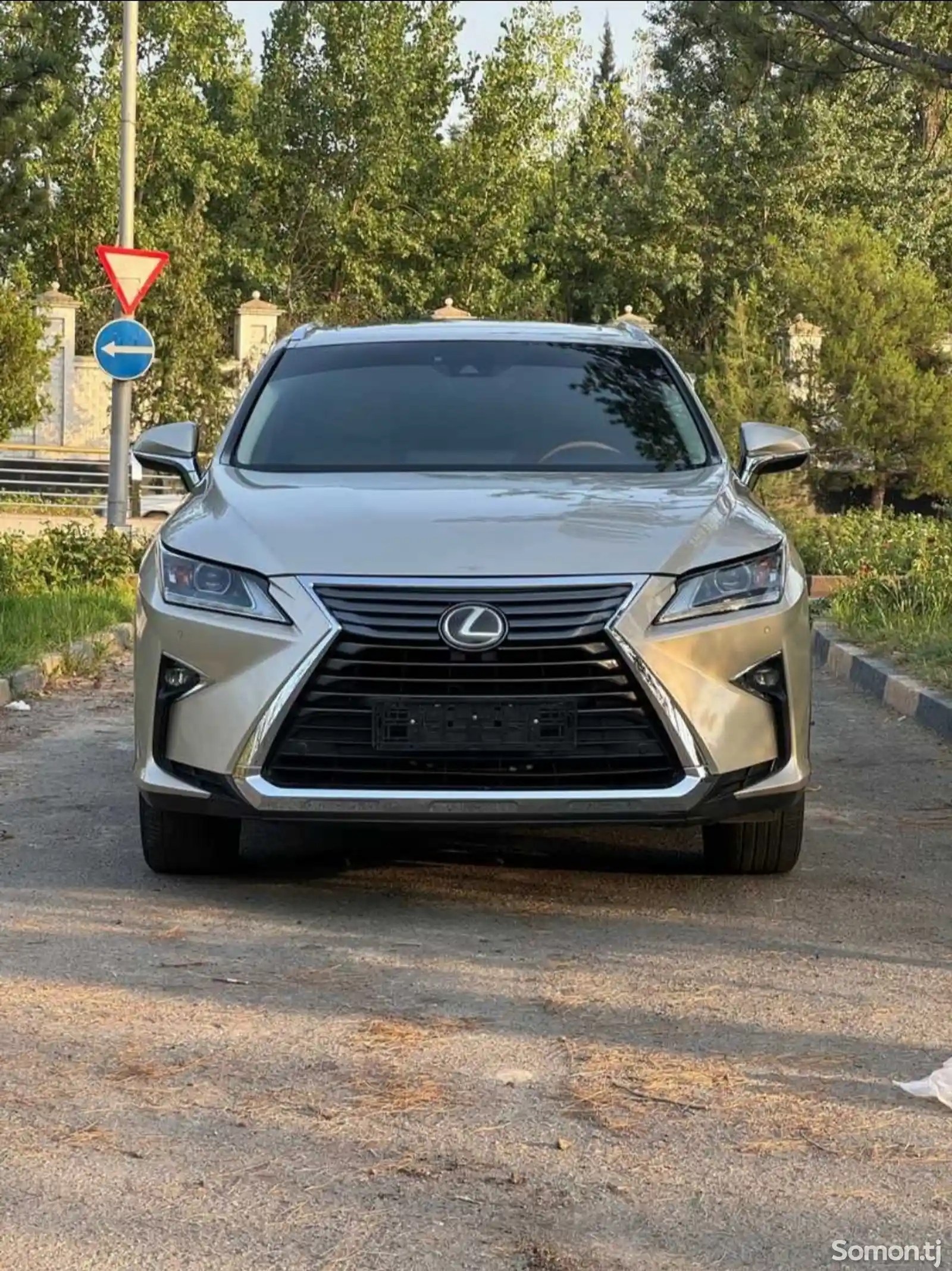 Защитник на Lexus RX 2017-2020-3