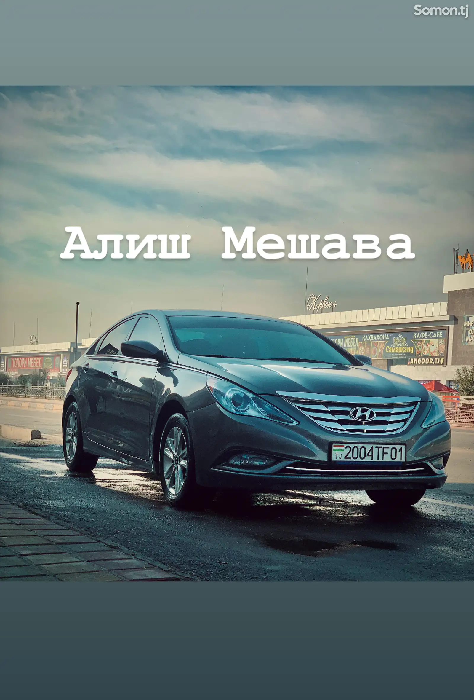 Hyundai Sonata, 2011-1