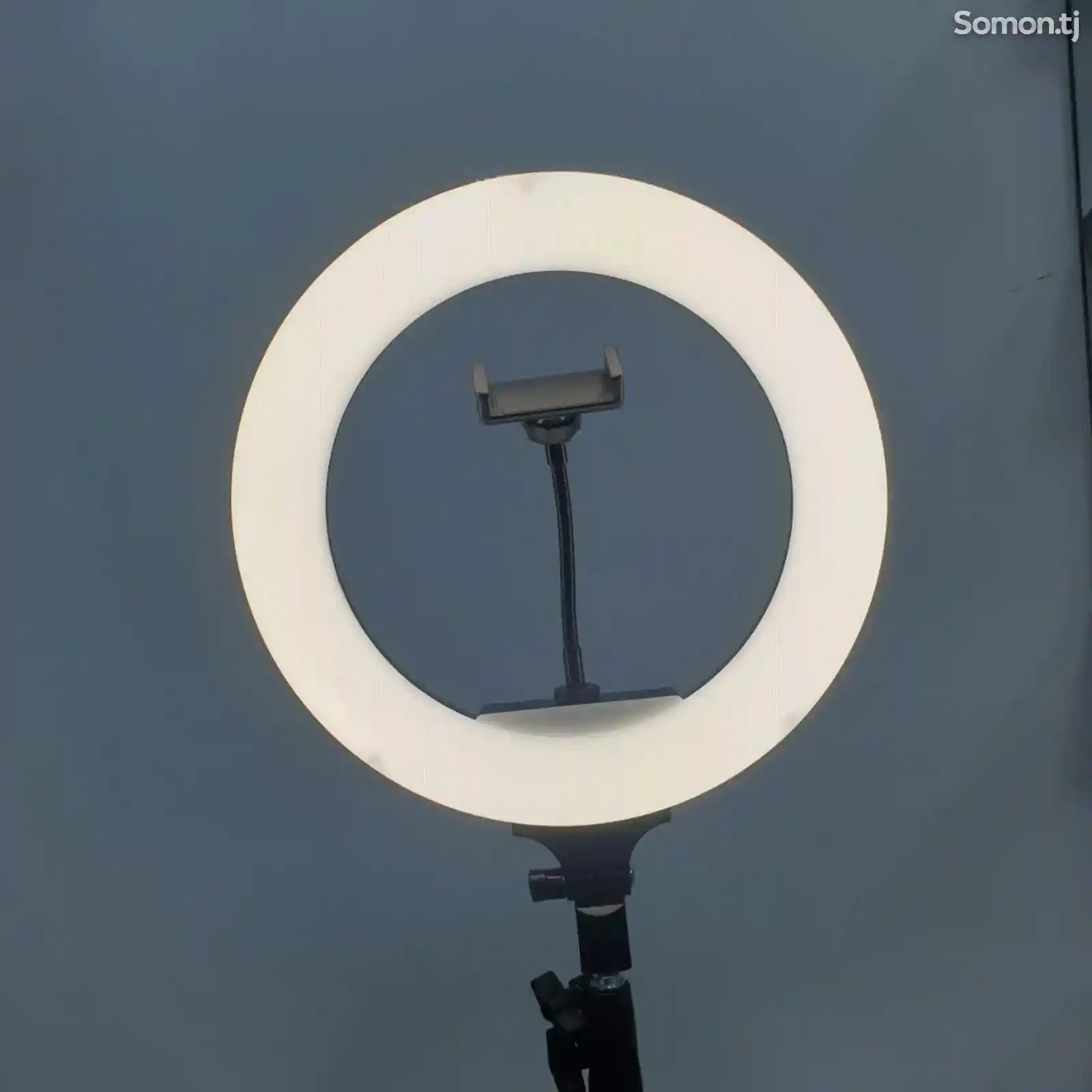 Кольцевая лампа Ring Supplementary Lamp Dimmable-1