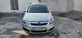 Opel Zafira, 2006-6