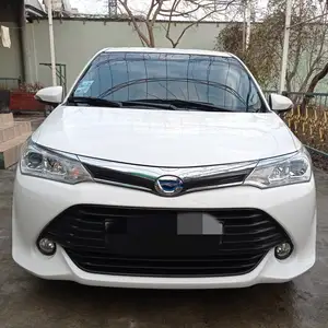 Toyota Axio, 2017