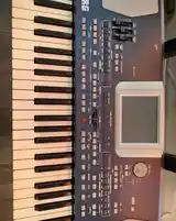 Синтезатор Korg pa 500-5