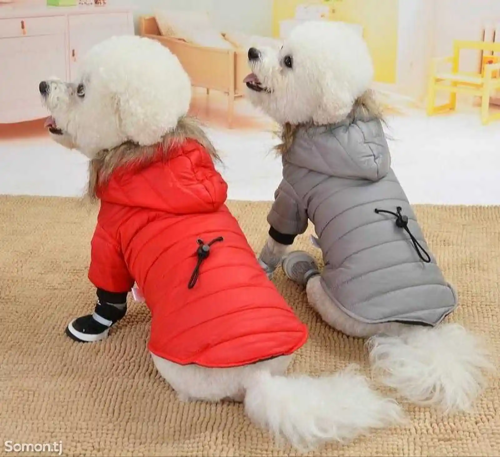 Куртки для собак-1