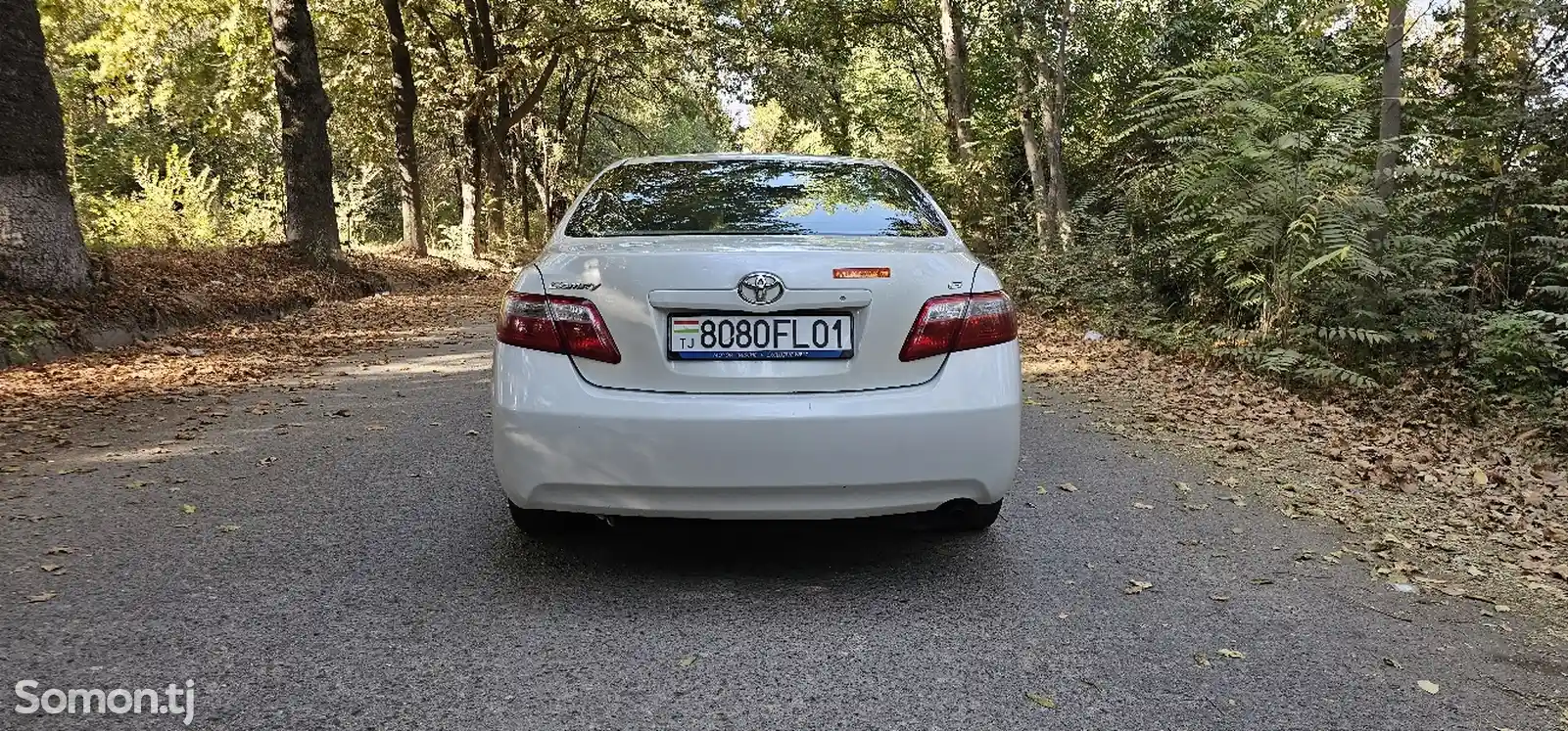 Toyota Camry, 2006-1