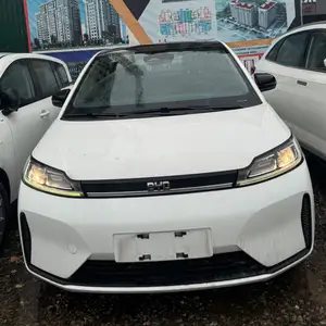 BYD D1, 2021