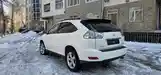 Lexus RX series, 2007-4