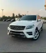 Mercedes-Benz ML class, 2012-6