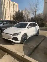 BYD E2, 2024-5