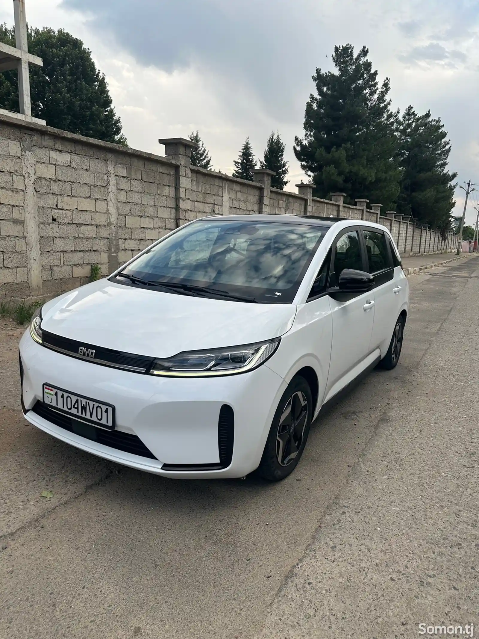 BYD Другие модели, 2021-2