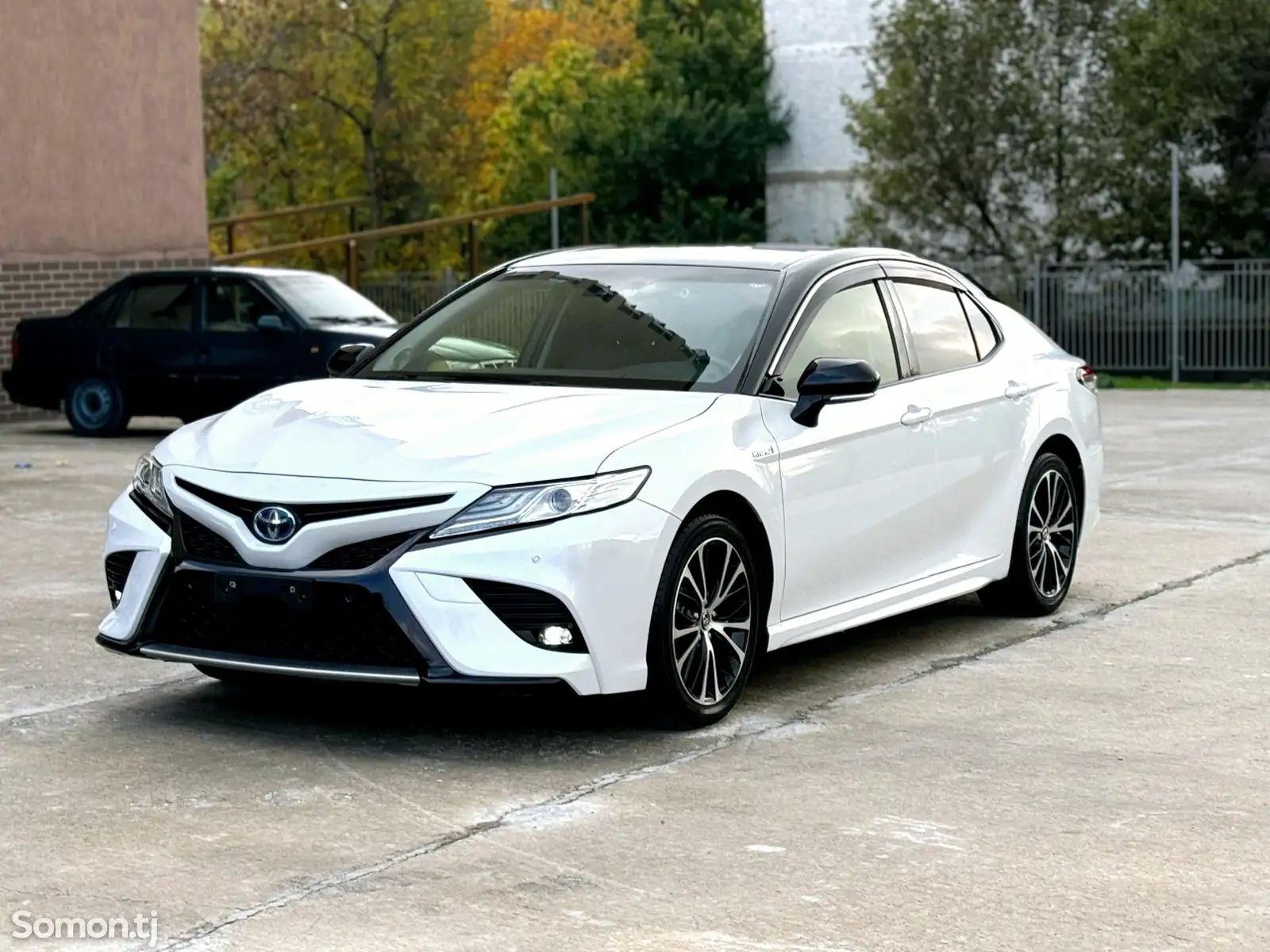 Toyota Camry, 2019-1