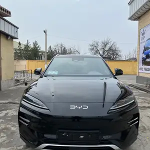 BYD Song Plus Flagship, 2024