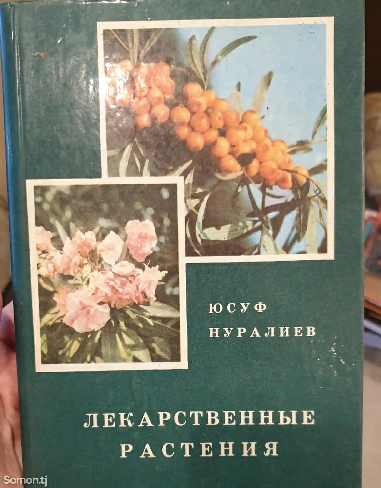 Лекарственные растения книга