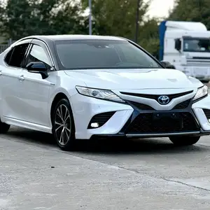 Toyota Camry, 2019