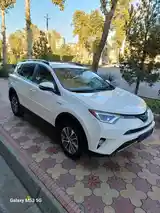 Toyota RAV 4, 2017-3