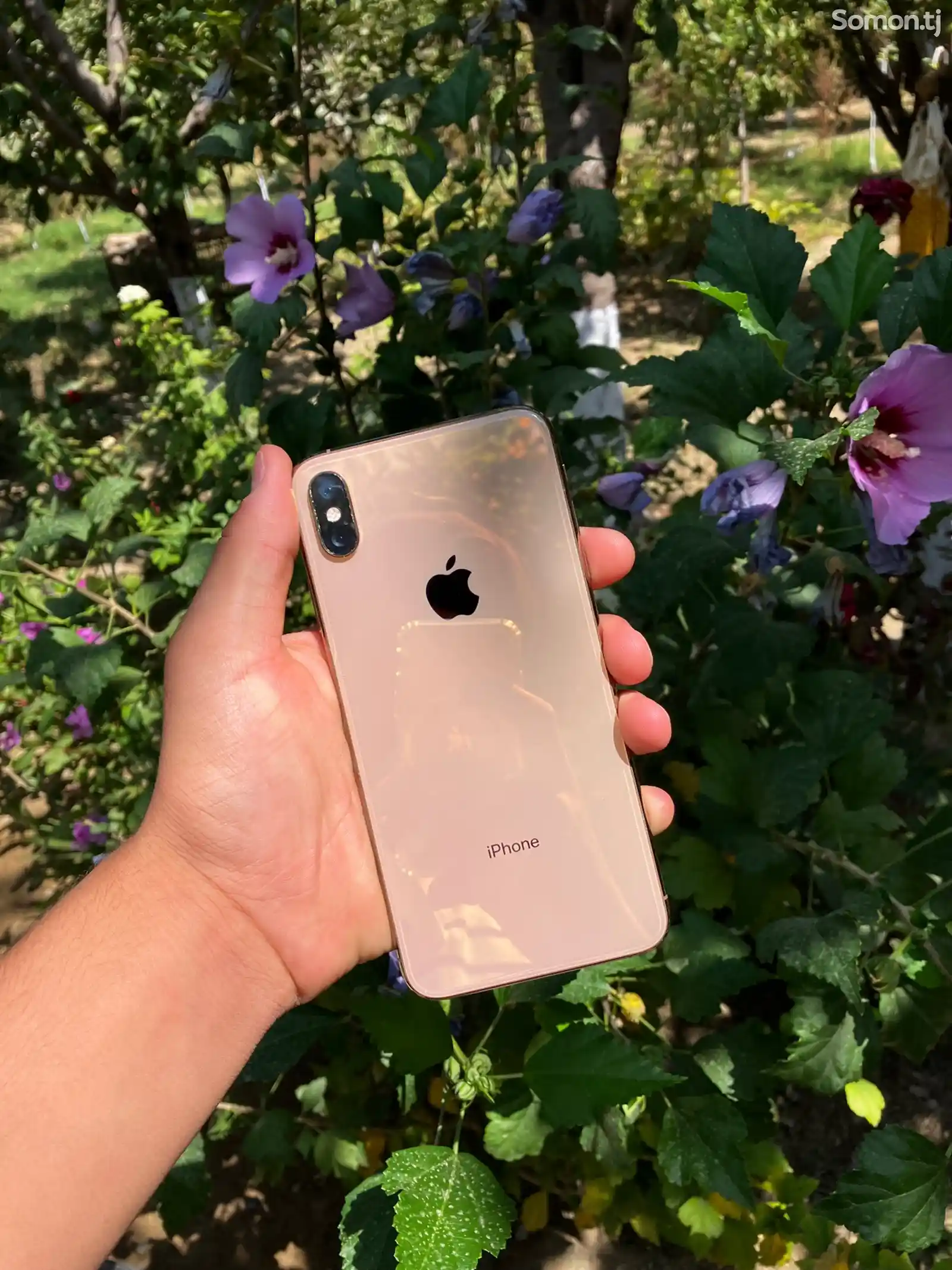 Apple iPhone Xs Max, 256 gb, Gold-2