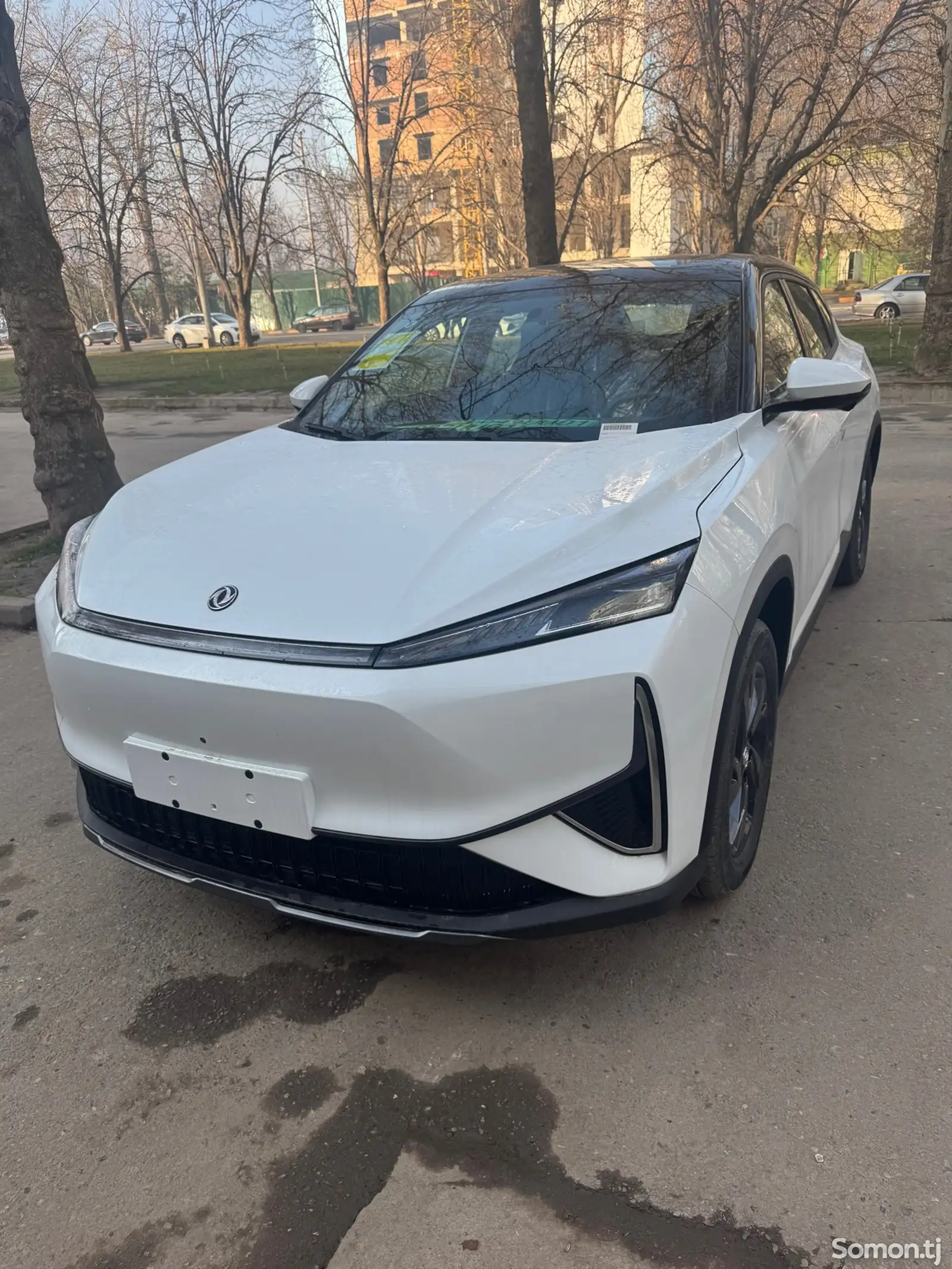 Dongfeng L7, 2025-1