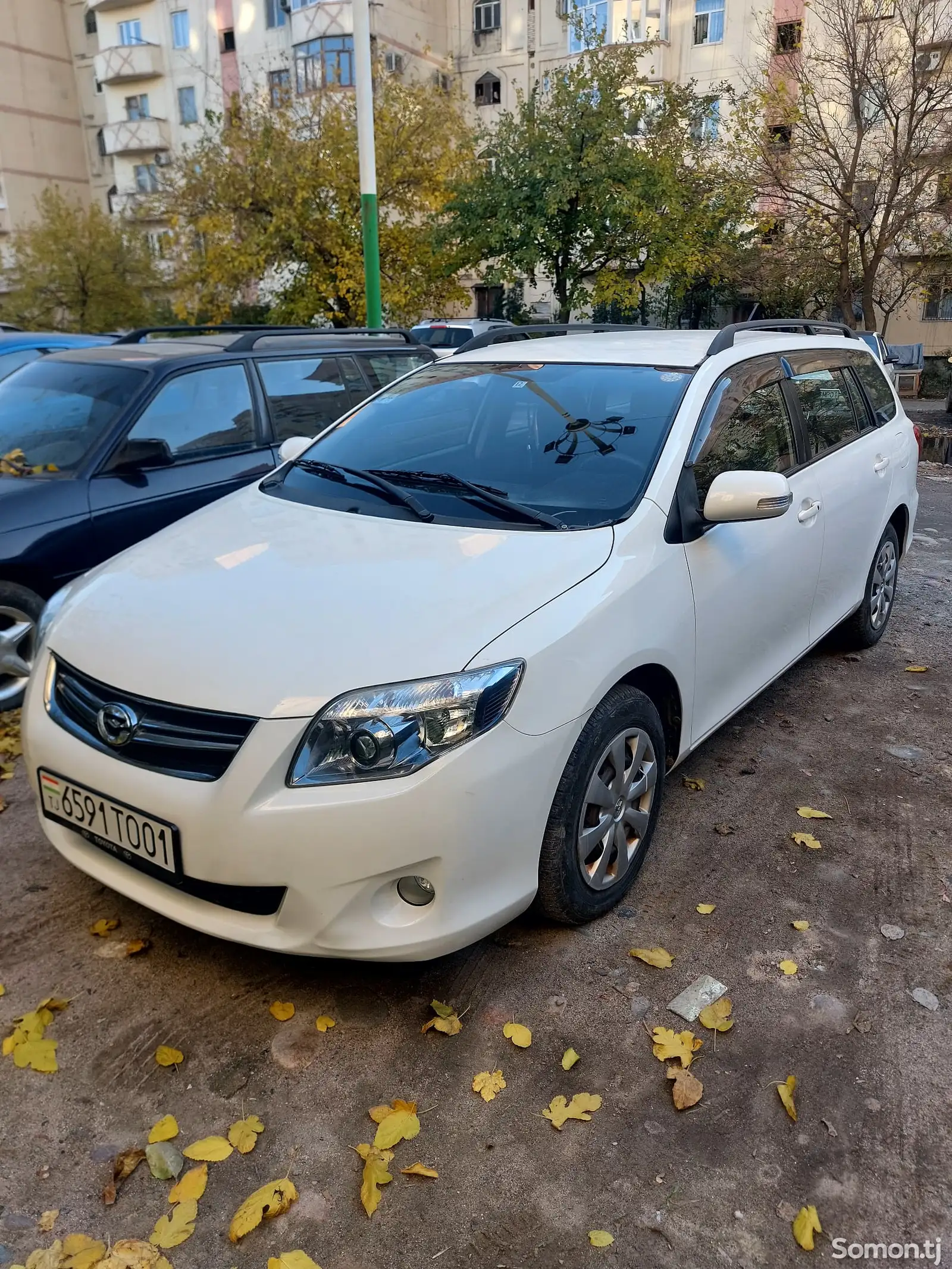 Toyota Fielder, 2010-1