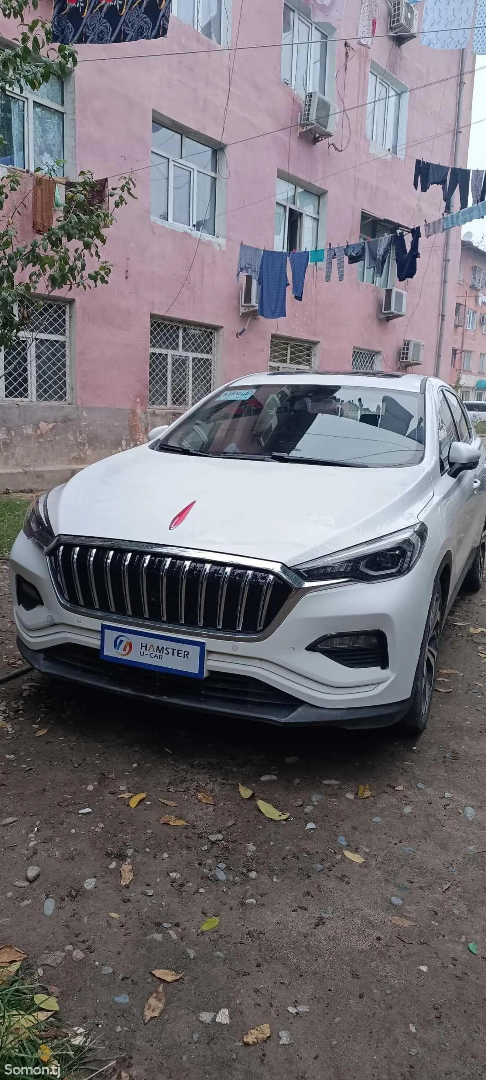 Hongqi E-HS3, 2019-1