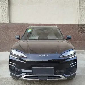 BYD Song Plus Flagship, 2024