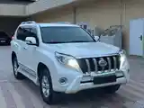 Toyota Land Cruiser Prado, 2011-3