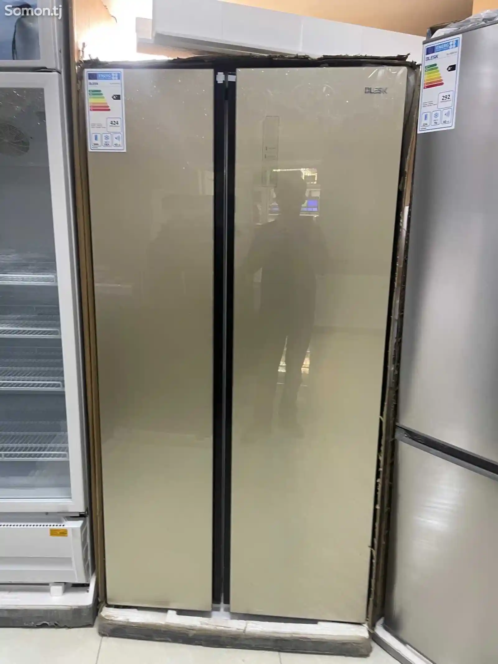 Холодильник Blesk 698-1
