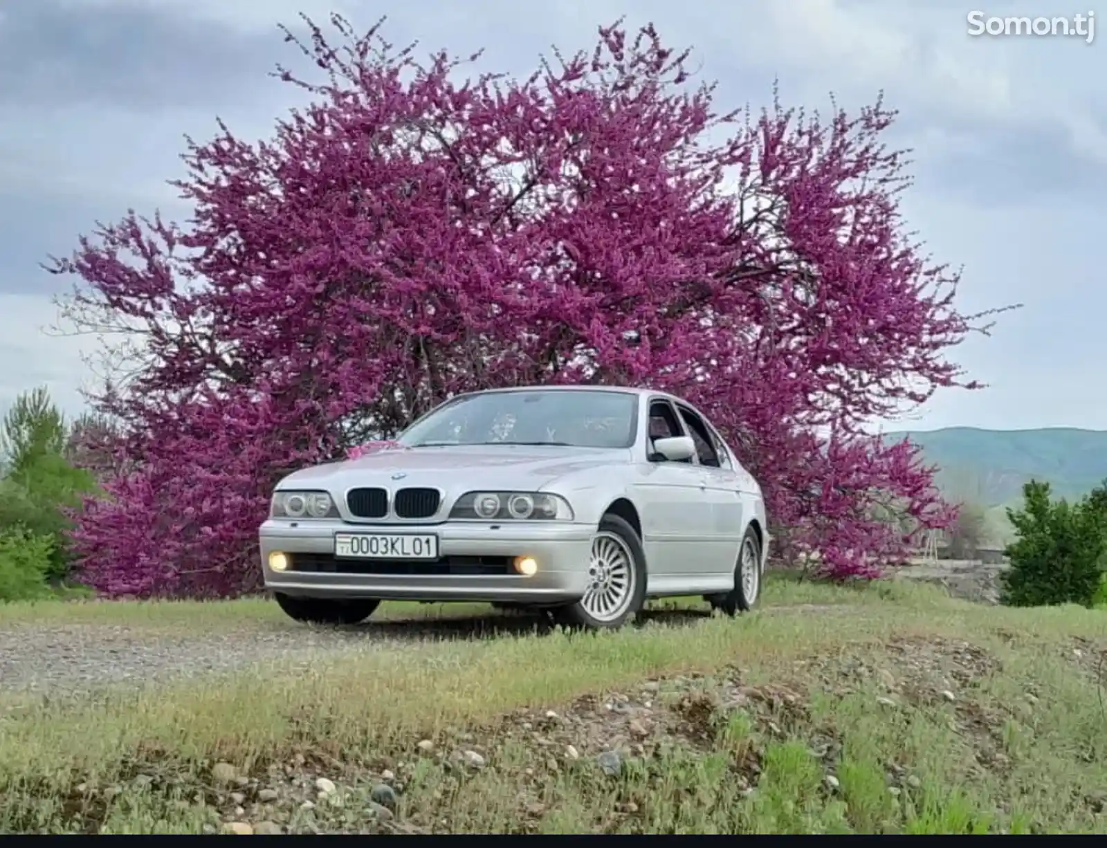 BMW M5, 2001-3