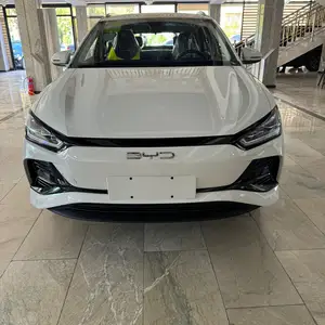 BYD E2, 2024