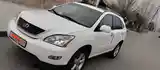 Lexus RX series, 2008-2