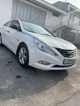 Hyundai Sonata, 2010-11