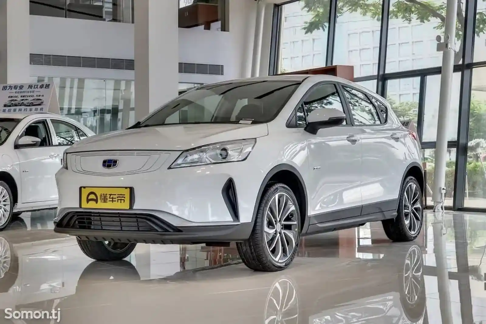 BYD E2, 2019-1