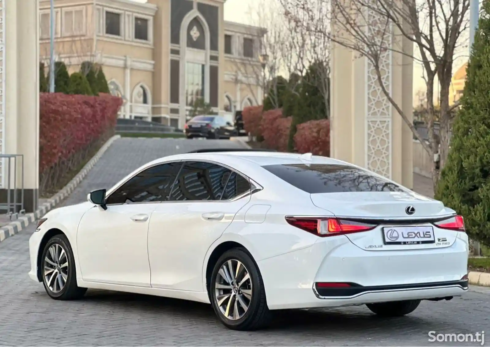 Lexus ES series, 2020-2